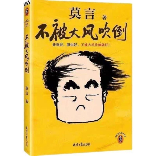 《不被大风吹倒》读完，我放下了内耗的执念