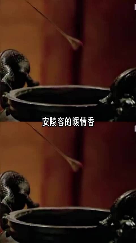 安陵容点的暖情香,何尝不是她的自我麻痹…..