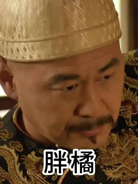 胖橘:怎会没爱过世兰,可她不该是年世兰