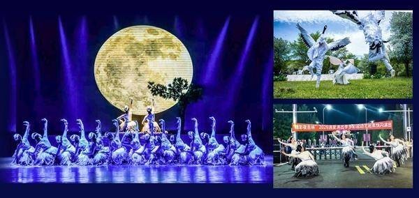 鹤舞濒危时,一群年轻人站了出来