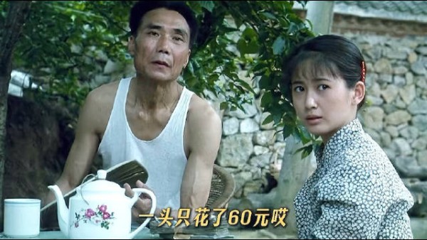 乔乔倾尽所有终落幕,因牛而起的虚假婚姻