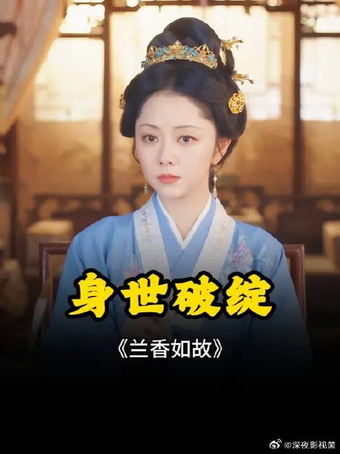 仅凭兰香的一句话,林锦歧就怀疑她是当年退婚的未婚妻沈嘉兰
