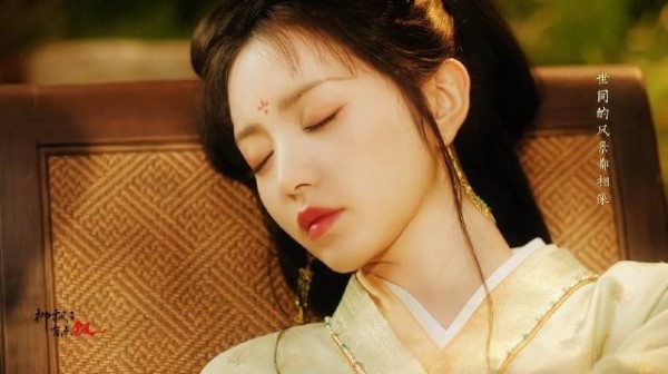 田曦薇神级镜头来了,这段小猫睡觉真的美到震撼!光影都好美!