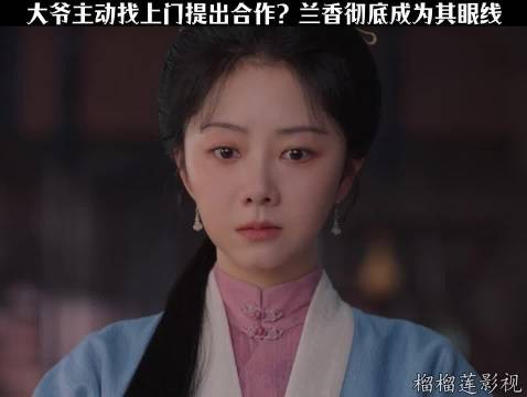 林府奴婢叹浮生悲欢,高门深宅隐忍求生