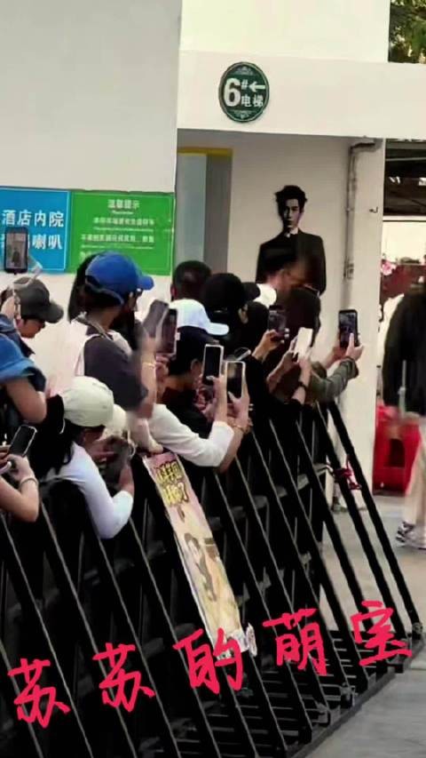 东张西望的小宝贝！