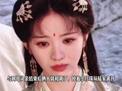魏娆认亲结束即和离，泪别陆家缘分散场