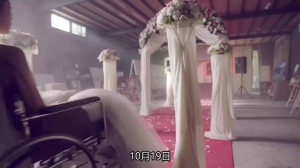 月薪一万追了半年,郑州小伙求婚脑瘫女孩:她不上班我养她
