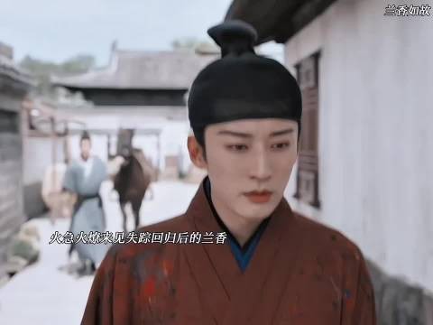大爷怎么能不心碎,去扬州救兰香,却在城门口擦肩而过