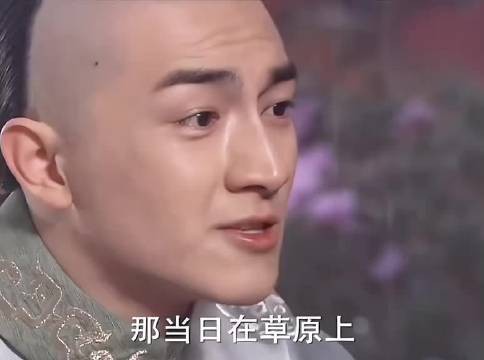 十四爷不懂糖葫芦区别却记若曦爱芙蓉糕