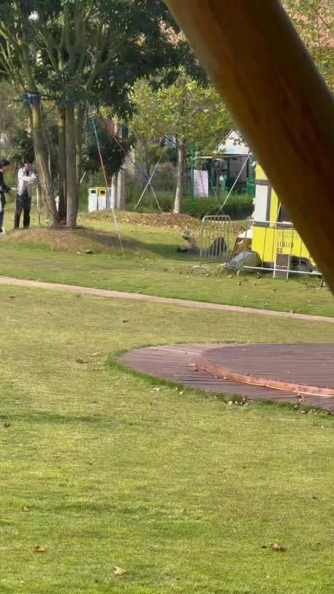诶诶诶 我就躺下一分钟拍张照就被抓包了