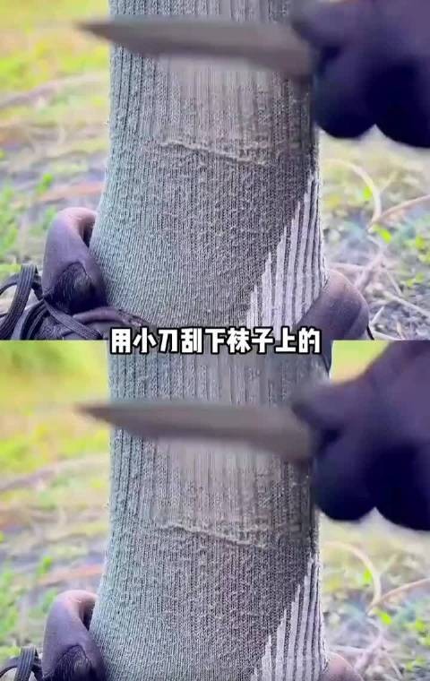 向长征路上的前辈致敬