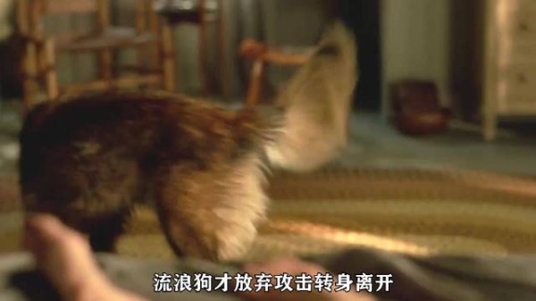 别墅度假遭铐床头，贝拉砸杯划掌血脱手铐自救