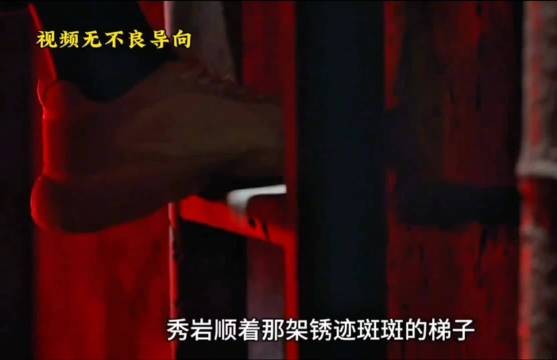 秀妍运尸荒山废井铁梯断裂困井底