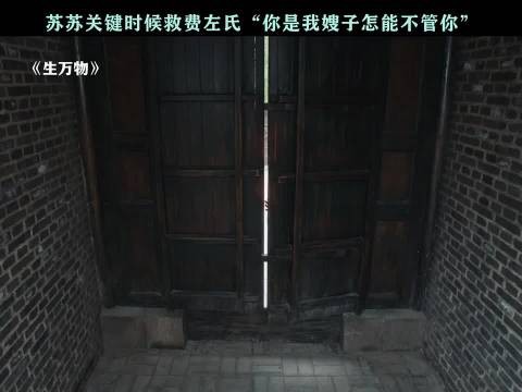 苏苏用真心与胆识闯出自己的一片天，生万物 秦海璐 邢菲