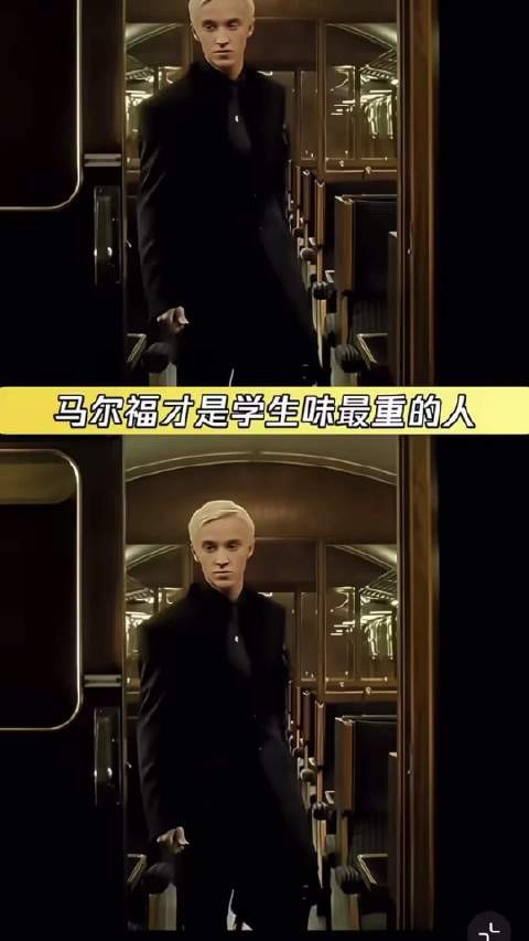其实德拉科才是哈利波特里面学生味最重的人
