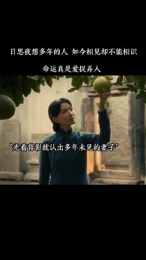 日思夜想多年的人,如今相见却不能相识,命运真是爱捉弄人