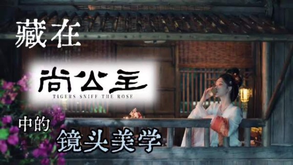 所有人立刻来品鉴尚公主的镜头美学
